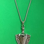 Titanium Steel Rattlesnake Pendant Necklace for Men Women Silver Photo 0