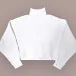 Cider White  XS Turtleneck Sweater Photo 0