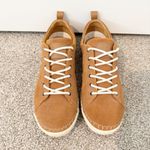 Palladium Suede Leather Lace Up Low Top Sneakers Casual Preppy Shoes 40 / 8.5 Photo 6