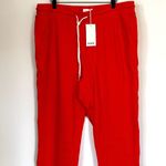 Mate the Label NEW Red Organic Terry Classic Jogger - 2X Photo 4
