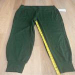 Athleta NWT  Green Venice Joggers - Size 3X Photo 5