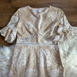 Saylor  Lace Maggy Dress In Nude Photo 4