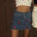 PacSun Denium Rose Skirt Photo 1