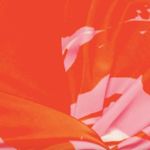 Monique Lhuillier ML Printed Taffeta Crop Top 10 Photo 4