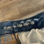 American Eagle  Next Level Stretch Curvy High Rise Shortie Distressed Denim Short Photo 4