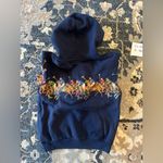 POLO Ralph Lauren Equestrian Horse Riding Womens Hoodie Sportsman Stadium Blue Photo 4