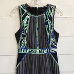 BCBGMAXAZRIA  Christalle Dress Size 2 Sleeveless Mini A-Line Pinstripe Palm Print Photo 4
