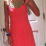 Lilly Pulitzer Coral And Gold Dress Photo 0