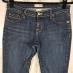 Urban Outfitters  BDG Dark Wash Blue Denim Skinny Jeans Women's Size 29 Photo 1
