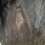 Prada  genuine fur coat  with detachable sleeves Y2K Photo 12