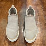 Toms PAXTON SUEDE SNEAKER Photo 1