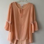 Ambiance Apparel Women's Sheer See Through Blouse Sz L Short Sleeve Lightweigt Size L Photo 1