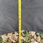 Peruvian Connection  Black V-Neck Short Sleeve Structured Ponte Midi‎ Dress M Photo 3