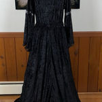 None Funky Victorian Gothic Velvet Costume! Photo 0