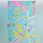 Lilly Pulitzer  Jesse Pop Up In The Beginning Ruffle Dress Short Romper Photo 2