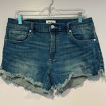 Pistola  Women's Blue Denim festival Shorts Photo 0