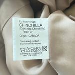 Cinzia Rocca Chinchilla Photo 11