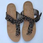 blowfish Malibu Women’s Animal Print Buckle Detail Sandals Sz 8 Photo 9