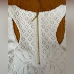 Lilly Pulitzer Paradise Island Engineered Lace Stelle Dress in Resort White Photo 11