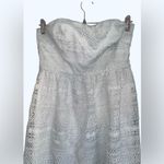 J.Crew Size 8 Strapless Light Olive Green Eyelet Laced Dress Cotton Full Lining Photo 4