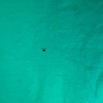 Frank & Eileen  Patrick Popover Kelly Green Size Large Cotton Jersey Shirt Womens Photo 6