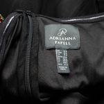 Adrianna Papell  - Rose Beaded Velvet Tulle Fit & Flare Dress Photo 3