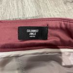 EXPRESS  Columnist Mid Rise Ankle Burgundy Dress Pants Photo 2