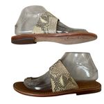 Sam Edelman Maxy Women's Size 7 Beige & Gold Snake Print Slide Flat Sandals VGUC Photo 3