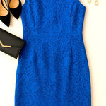 J.Crew Fall Lace Romantic Cobalt Blue Floral Sheath Dress 8 Wedding Guest Formal Photo 0