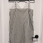 Everlane NWT The Poplin Slip Dress Bone / Black Stripe Size 2 Photo 4