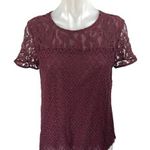 Ann Taylor Women's Red Maroon Short Sleeve Zi Floral Lace Blouse Top Size S Photo 0