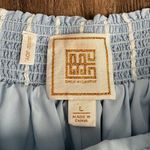 Emily McCarthy Hampton Stripe Everyday Dress Shorts in Light Blue Size Large Photo 4