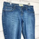 American Rag  Medium Wash Stretch Skinny Jeans Size 13 Short Photo 3