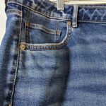 American Eagle Blue Stretch Tomgirl Button Fly Jeans Long Size 20 L Photo 4