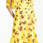 ALC Frank A.L.C. Florence Floral One Shoulder Blouson Ruched Silk Dress Size 4 Photo 0