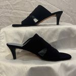 Antonio Melani  Mules Photo 1