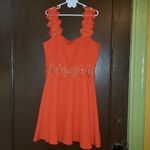 Lulus  visual treat red lace skater dress small Photo 1