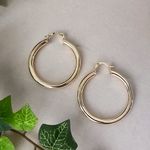 Gold Tube Medium Hoop Earrings Photo 0