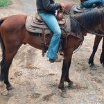 Kimes Ranch Lola Trousers Photo 5