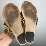J.Crew  |‎ Size 8 Cross Strap Brown and Black Leopard Print Sandals Photo 3