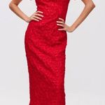 Mioh CONCERT RED Photo 0