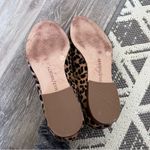 Sole Society  leopard print‎ loafers Photo 4