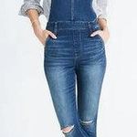 Madewell Roadtripper Overalls in Brodie Wash Photo 0