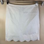 Ann Taylor  Women's Size 8 White Eyelet Pencil Skirt Scalloped‎ Hem Career Photo 0