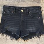 Dear John High Rise Black women’s shorts size 28 Photo 0