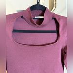 Babaton Aritzia  Florine sculpt knit maroon/ burgundy size M Photo 3