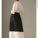 Anthropologie NWT  A-LINE MAXI SKIRT Photo 6