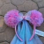 Disneyland Ears  Photo 1