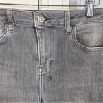 Ksubi  gray spray on skinny jeans size 26 made in Turkey mid rise ankle grazing Photo 2