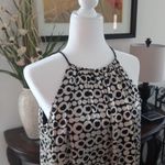 Maggy London Halter Shift Dress Size 10 Photo 1